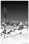 a-sign-02-thm.jpg