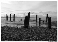 abandoned-01-thm.jpg