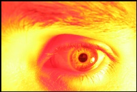 human-experiments-01-thm.jpg