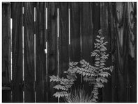 simplicity-01-thm.jpg